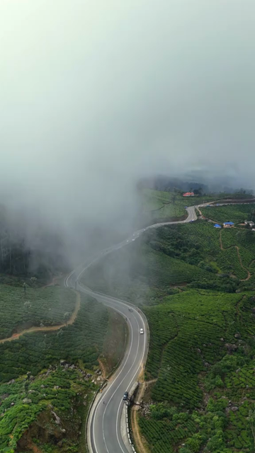 Vertical Aerial View of Scenic Mountain Roads and Tea Plantations in Munnar Kerala India