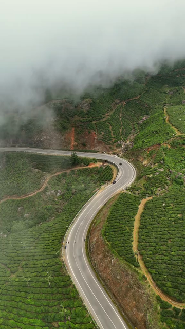 Vertical Aerial View of Scenic Mountain Roads and Tea Plantations in Munnar Kerala India