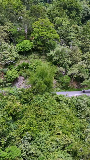 Vertical Aerial View of Scenic Mountain Roads and Tea Plantations in Munnar Kerala India
