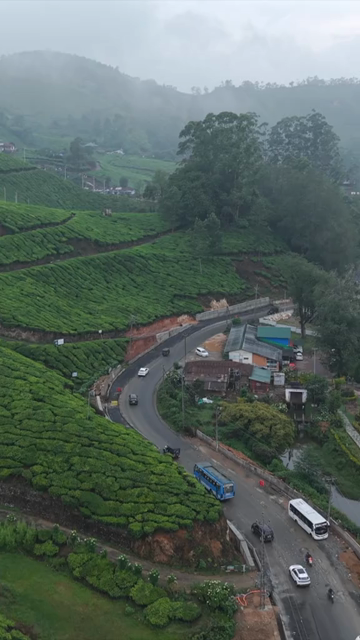 Vertical Aerial View of Scenic Mountain Roads and Tea Plantations in Munnar Kerala India