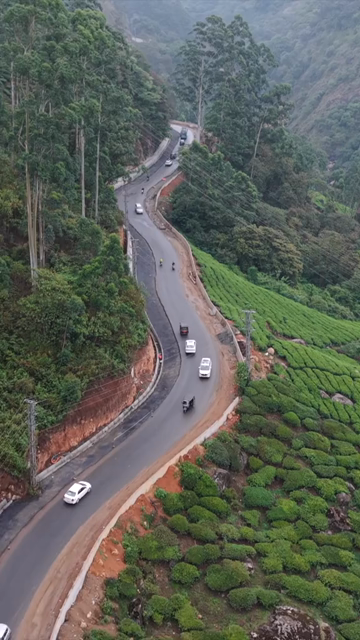 Vertical Aerial View of Scenic Mountain Roads and Tea Plantations in Munnar Kerala India