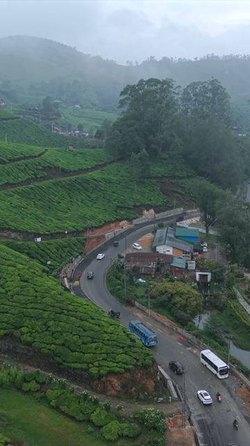 Vertical Aerial View of Scenic Mountain Roads and Tea Plantations in Munnar Kerala India
