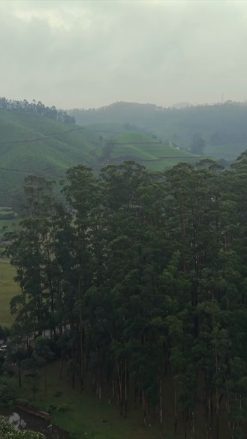 Vertical Aerial View of Scenic Mountain Roads and Tea Plantations in Munnar Kerala India