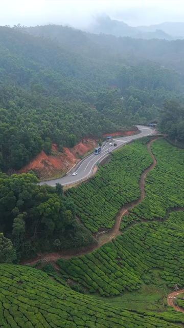 Vertical Aerial View of Scenic Mountain Roads and Tea Plantations in Munnar Kerala India