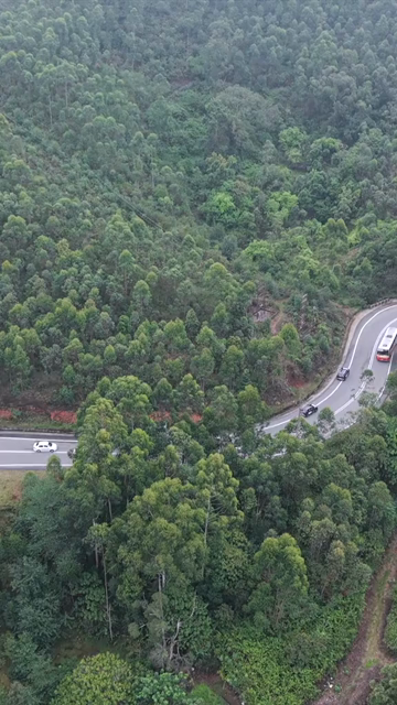 Vertical Aerial View of Scenic Mountain Roads and Tea Plantations in Munnar Kerala India