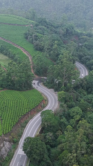 Vertical Aerial View of Scenic Mountain Roads and Tea Plantations in Munnar Kerala India