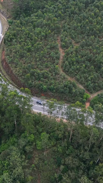 Vertical Aerial View of Scenic Mountain Roads and Tea Plantations in Munnar Kerala India