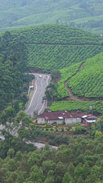 Vertical Aerial View of Scenic Mountain Roads and Tea Plantations in Munnar Kerala India