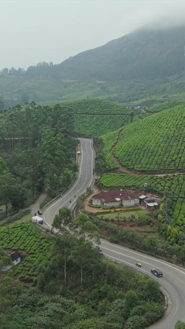 Vertical Aerial View of Scenic Mountain Roads and Tea Plantations in Munnar Kerala India