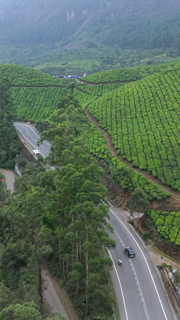 Vertical Aerial View of Scenic Mountain Roads and Tea Plantations in Munnar Kerala India