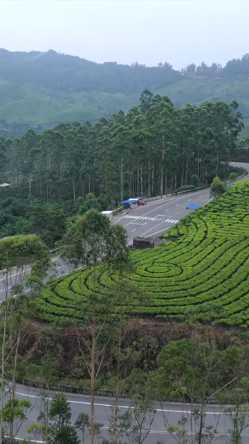 Vertical Aerial View of Scenic Mountain Roads and Tea Plantations in Munnar Kerala India