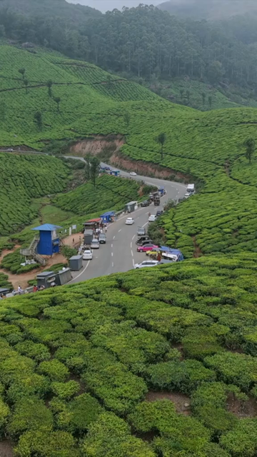 Vertical Aerial View of Scenic Mountain Roads and Tea Plantations in Munnar Kerala India