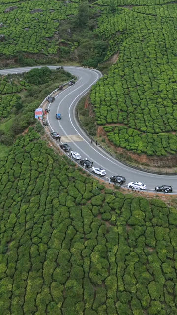 Vertical Aerial View of Scenic Mountain Roads and Tea Plantations in Munnar Kerala India