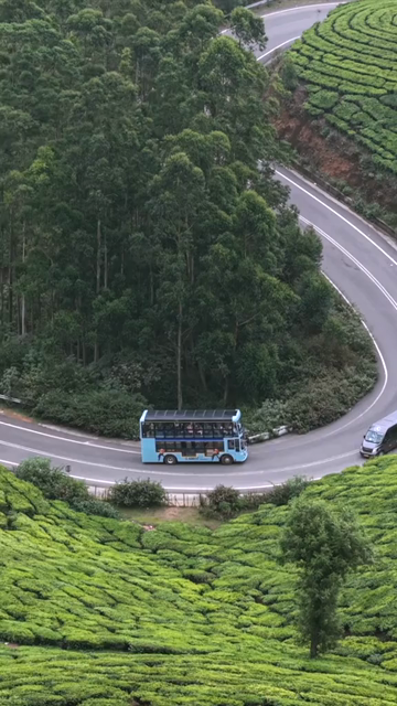 Vertical Aerial View of Scenic Mountain Roads and Tea Plantations in Munnar Kerala India