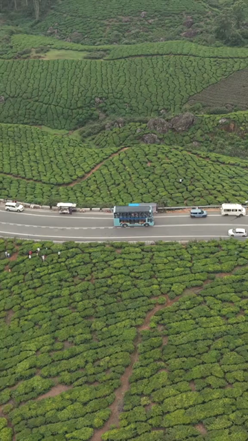 Vertical Aerial View of Scenic Mountain Roads and Tea Plantations in Munnar Kerala India