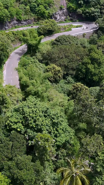Vertical Aerial View of Scenic Mountain Roads and Tea Plantations in Munnar Kerala India