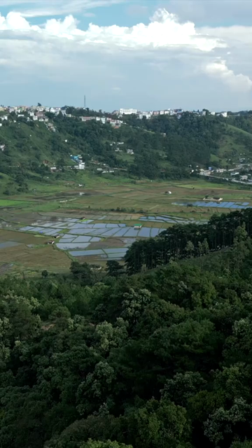 Vertical Aerial View of Paddy Fields in Meghalaya, India