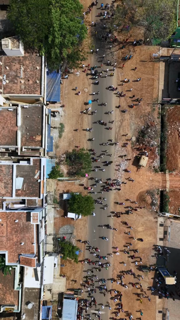 Vertical Aerial View of TVK Political Rally Crowd in Tamil Nadu India
