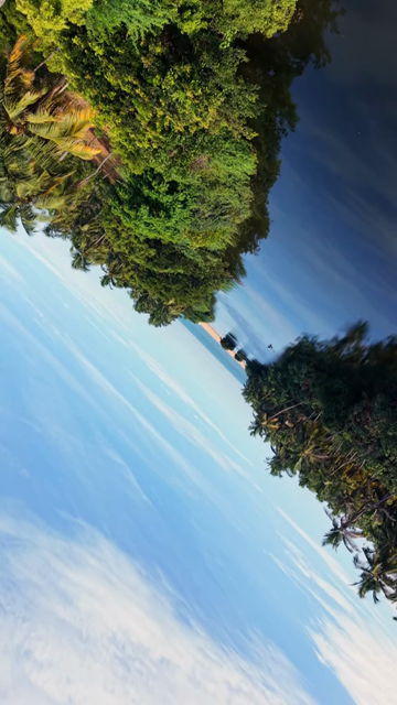 Vertical Aerial View of Poovar Beach and Backwater Confluence Kerala
