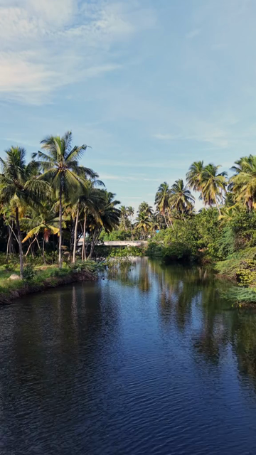 Vertical Aerial View of Poovar Beach and Backwater Confluence Kerala