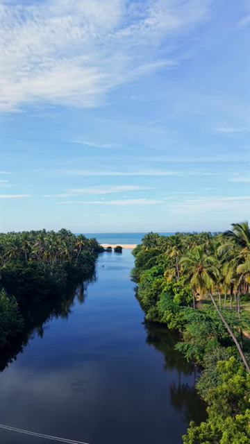 Vertical Aerial View of Poovar Beach and Backwater Confluence Kerala