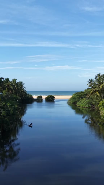 Vertical Aerial View of Poovar Beach and Backwater Confluence Kerala
