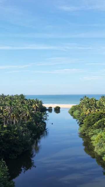 Vertical Aerial View of Poovar Beach and Backwater Confluence Kerala