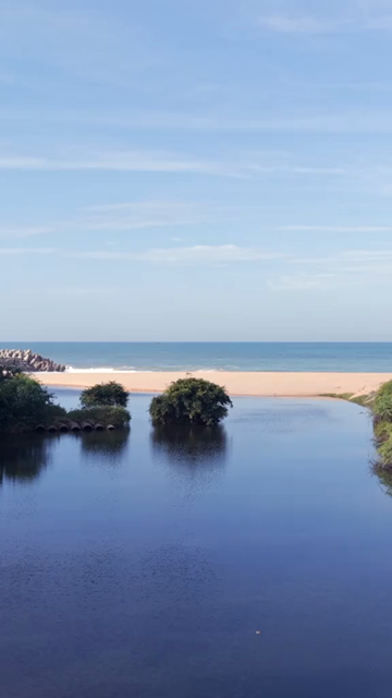 Vertical Aerial View of Poovar Beach and Backwater Confluence Kerala