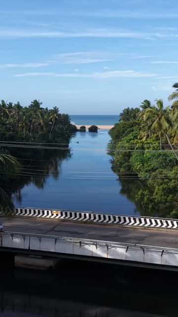 Vertical Aerial View of Poovar Beach and Backwater Confluence Kerala