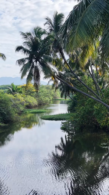 Vertical Aerial View of Poovar Beach and Backwater Confluence Kerala