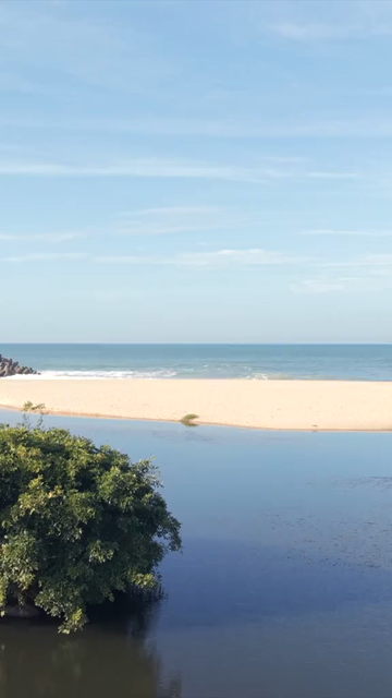 Vertical Aerial View of Poovar Beach and Backwater Confluence Kerala