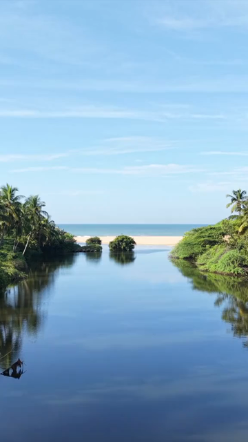 Vertical Aerial View of Poovar Beach and Backwater Confluence Kerala