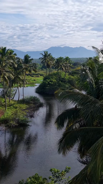 Vertical Aerial View of Poovar Beach and Backwater Confluence Kerala