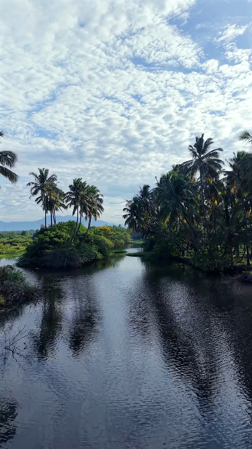 Vertical Aerial View of Poovar Beach and Backwater Confluence Kerala