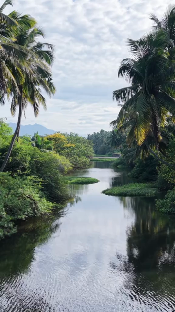 Vertical Aerial View of Poovar Beach and Backwater Confluence Kerala