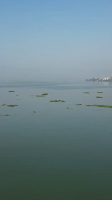 Vertical Aerial View of Raja Bhoj Statue and Upper Lake Bhopal