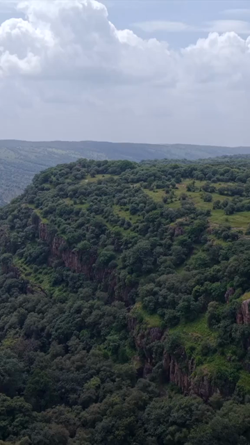 Vertical Aerial View of Ranthambore Fort and Lush Landscape Rajasthan