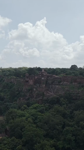 Vertical Aerial View of Ranthambore Fort and Lush Landscape Rajasthan