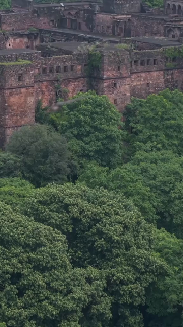 Vertical Aerial View of Ranthambore Fort and Lush Landscape Rajasthan