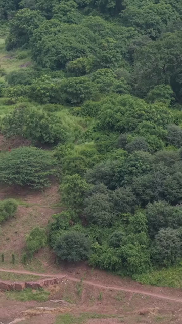 Vertical Aerial View of Ranthambore Fort and Lush Landscape Rajasthan