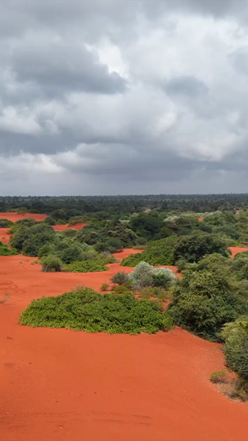 Vertical Aerial View of Red Desert Therikaadu Tamil Nadu India