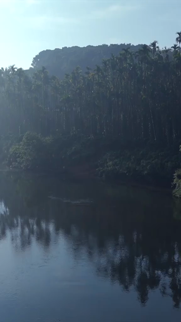 Vertical Aerial View of River and Forested Hills Near Pune Maharashtra