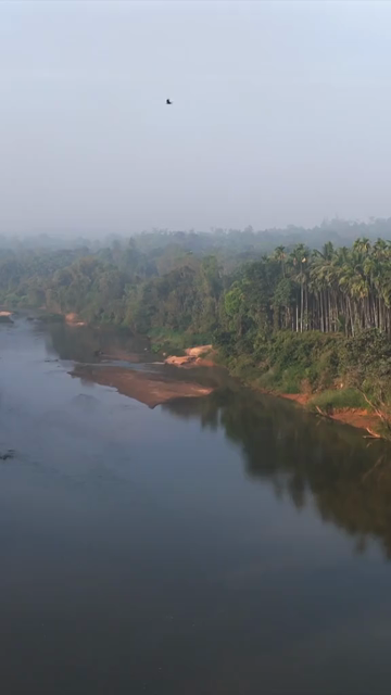 Vertical Aerial View of River and Forested Hills Near Pune Maharashtra
