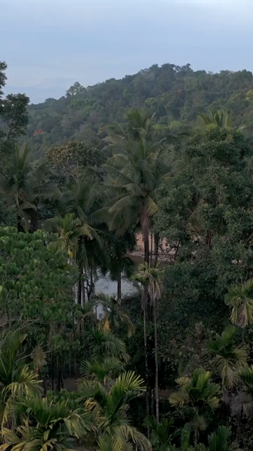 Vertical Aerial View of River and Forested Hills Near Pune Maharashtra