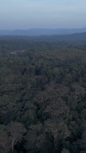 Vertical Aerial View of River and Forested Hills Near Pune Maharashtra