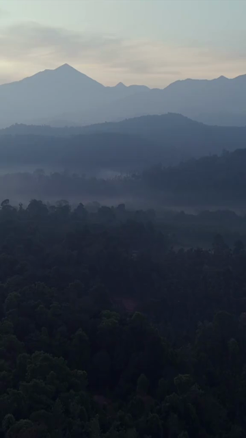 Vertical Aerial View of River and Forested Hills Near Pune Maharashtra