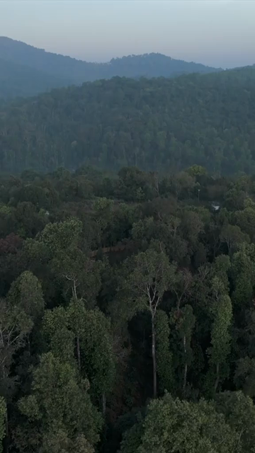 Vertical Aerial View of River and Forested Hills Near Pune Maharashtra