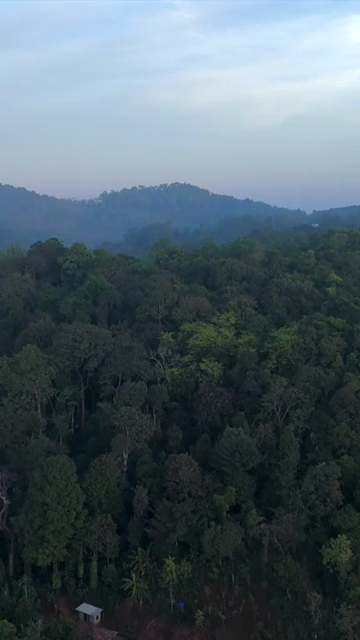 Vertical Aerial View of River and Forested Hills Near Pune Maharashtra