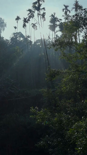 Vertical Aerial View of River and Forested Hills Near Pune Maharashtra