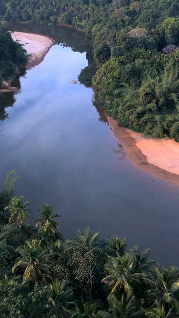 Vertical Aerial View of River and Forested Hills Near Pune Maharashtra